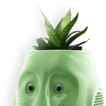 Billy-Billy with plant